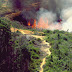 Lagi,Hutan di Ponorogo Kebakaran Hebat