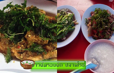 ข้าวต้มรอบดึก ปลาพิโรธ OHO999.com