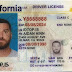 California and Fake Ids