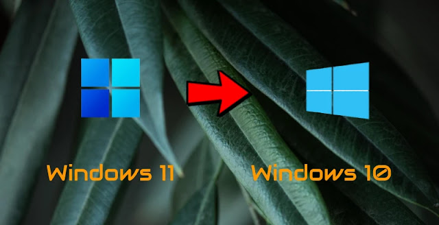 الرجوع إلى ويندوز 10، الترقية لويندوز 11،Windows Update ،مايكروسوفت