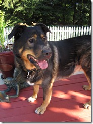 Baxter