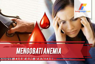 Cara Alami Mengobati Darah Rendah Atau Anemia