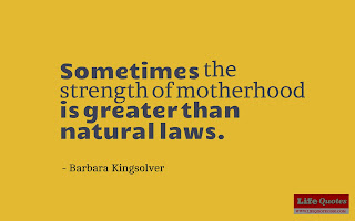 Sometimes the strength of motherhood is greater than natural laws. - Barbara Kingsolver