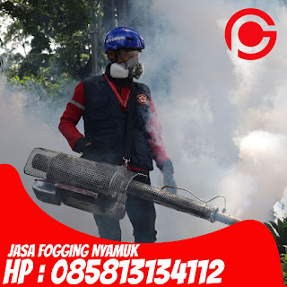 Hub : 085813134112 Jasa Fogging Nyamuk di Bekasi Barat