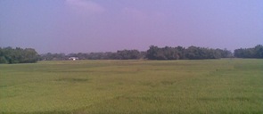 sulabh jaiswal (2)