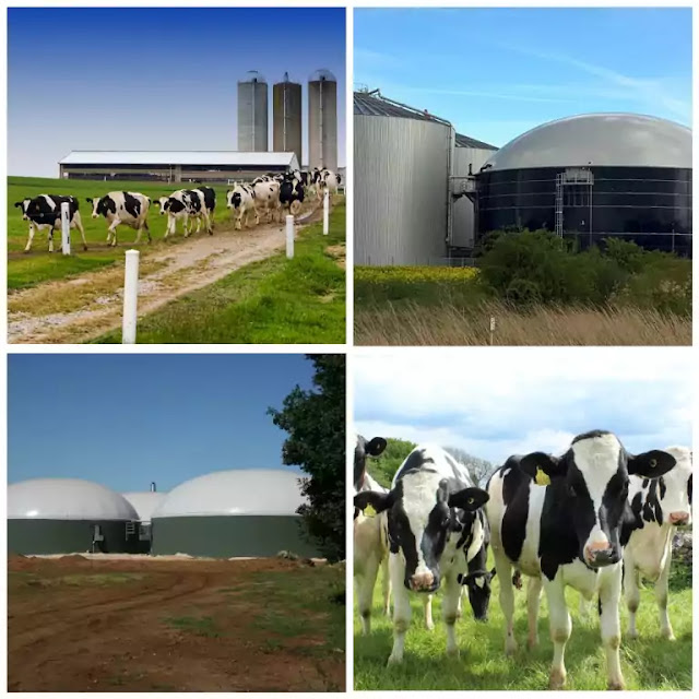 Sustainable dairy farming project report