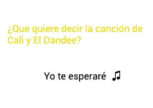 Significado de la canción Yo Te Esperaré Cali El Dandee.