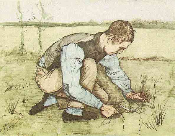 Boy Cutting Grass with a Sickle