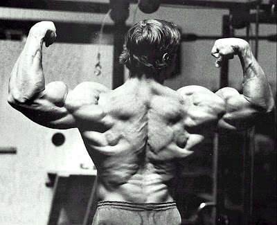 arnold schwarzenegger bodybuilding. arnold schwarzenegger