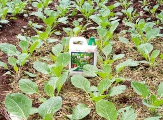 DI Grow Green Foliar Fertilizer