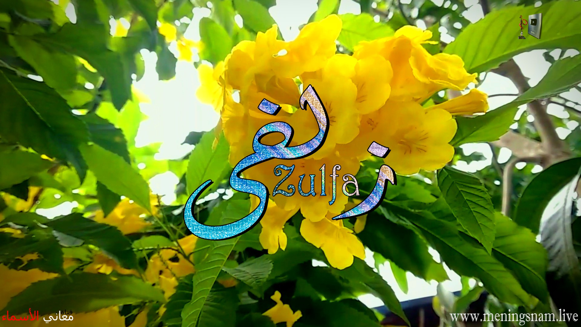 معنى اسم, زلفى, وصفات حاملة, هذا الاسم, Zolfa,