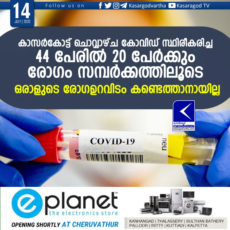 COVID-19, news, Kerala, kasaragod, Report, Trending, covid positive cases kasaraagod   