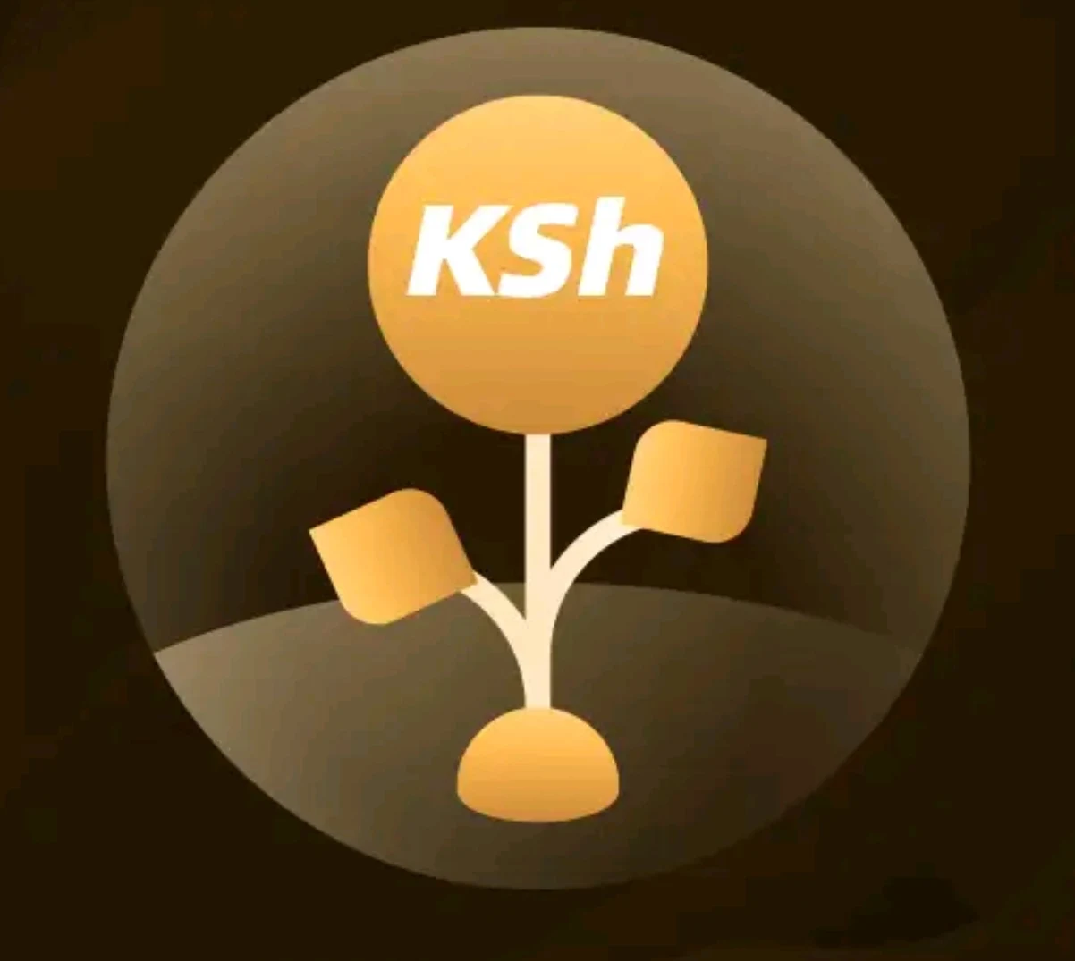 MoreKash loan app