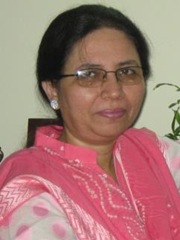 ismat zaidi didi