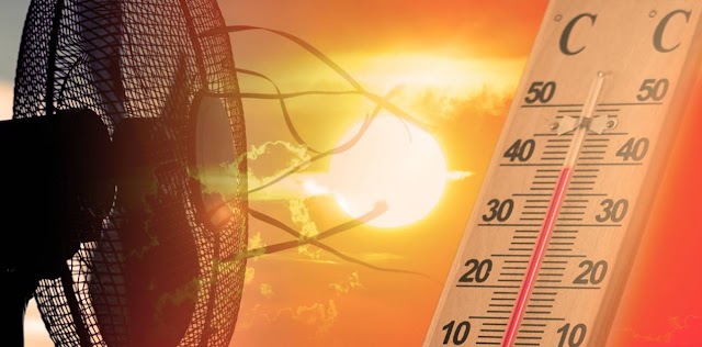 Ondata di calore: cosa accade e come difendersi secondo OMS Europa 