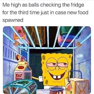 The Top 10 Good Morning Memes That Will Brighten Your Day