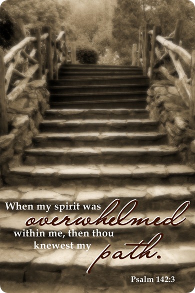 Psalm 142 3 jpg