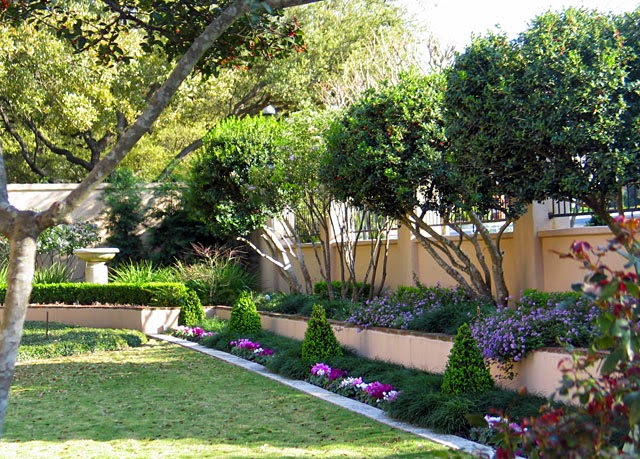 59 Best Images Backyard Austin Tx / Landscaping Pictures Of Texas Xeriscape Gardens And Much ...