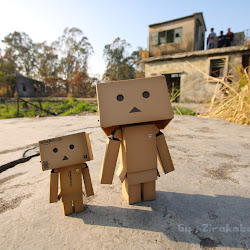 Wallpaper Danbo Box @ digaleri.com