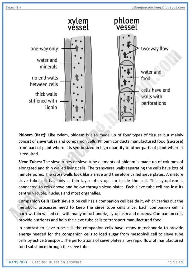 transport-detailed-question-answers-biology-9th