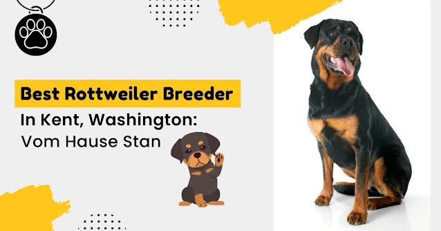 rottweiler breeder Washington