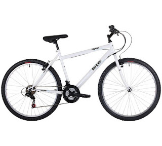 Stolen Bicycle - Flite Rapide