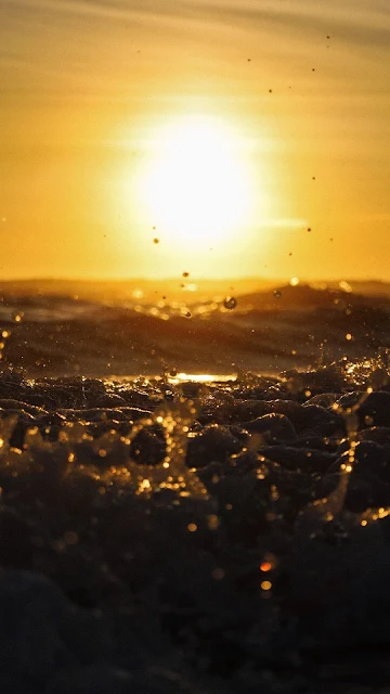 Papel de Parede para Celular Oceano Dourado