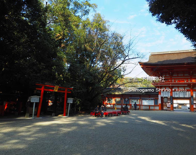 京都 下鴨神社の