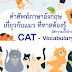 สุดน่ารัก 20 คำศัพท์ภาษาอังกฤษเกี่ยวกับแมว หรือคนที่เป็นทาสแมว ต้องรู้ไว้ มีคำว่าอะไรบ้าง จัดมาให้อ่านกันจ้า