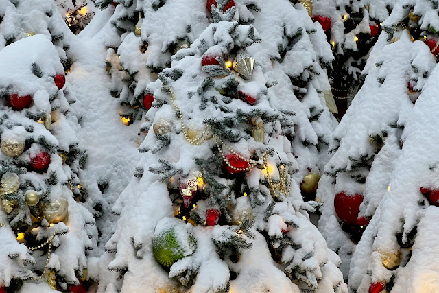 Тверская улица, Тверская площадь, новогодние елки в снегу