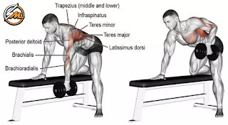 Best Back Exercises For Men