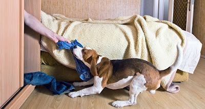 5 tips to banishing this behavior quickly
