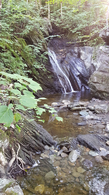 Rivière  sur sentier du Pékan