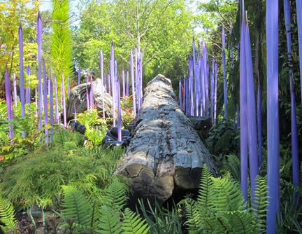 Chihuly Glass Garden, Seattle WA (92)