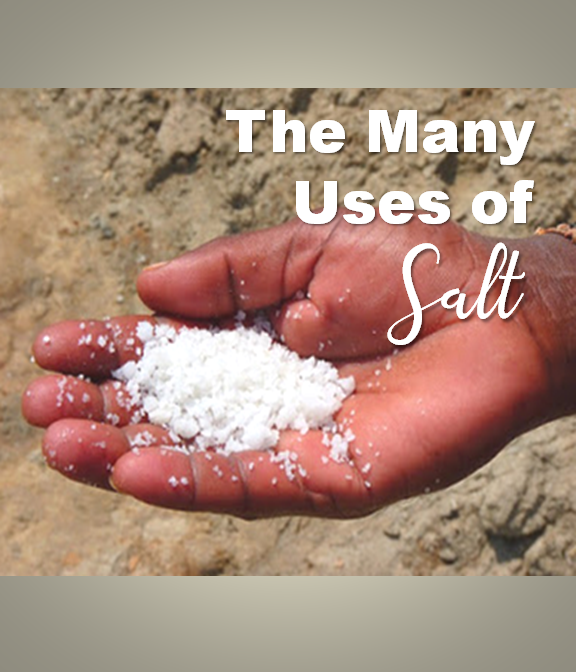 The Many Uses of Salt in the Home