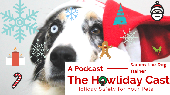 pet holiday safety