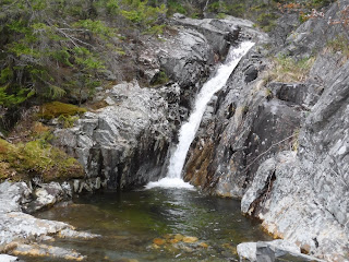 New Cascade on Mt Willard, Crawford Notch, NH