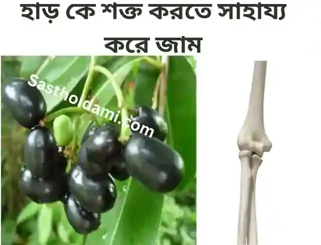 হাড় কে শক্ত করতে সাহায্য করে জাম