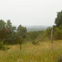 View album