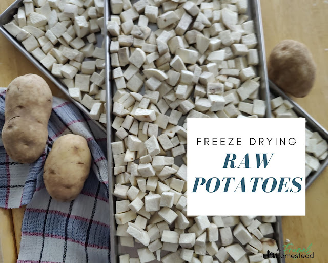 Freeze drying potatoes is the perfect way to store potatoes for long term use.
