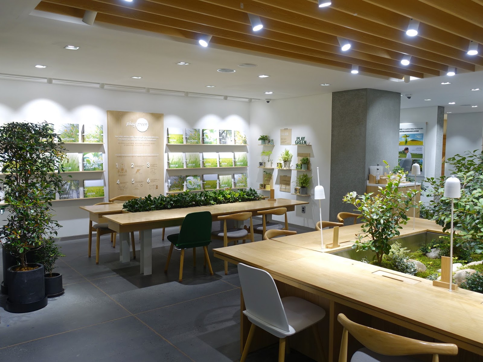 Innisfree Green  Cafe  Seoul SOUTH KOREA      A 