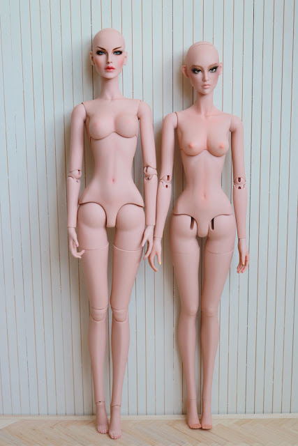 Modsdoll and Ficondoll body comparison