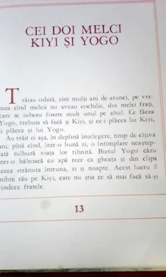 Fragment din povestea Cei doi melci, Kiyi si Yogo, unde scrie cat de mult se iubeau cei doi frati melci si cum Yogo a cazut intr-o balta cu apa rece si a racit.