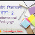 Mathematical Pedagogy(गणितीय शिक्षाशास्त्र) भाग-2