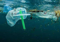 Sampah Plastik di Laut Jadi Perhatian DLH