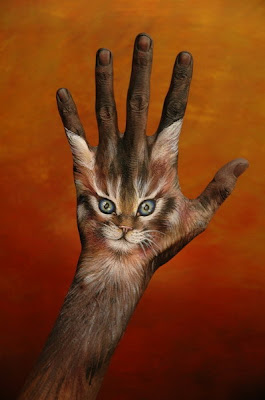 Various Body Painting Cat