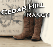 Cedar Hill Ranch