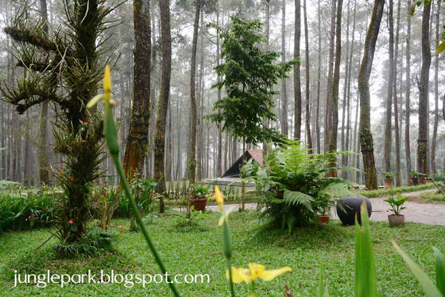 CIKOLE LEMBANG | Tempat Outbound di Bandung