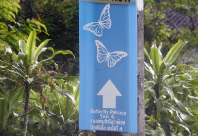  this is some other really local number which is non promoted to tourists Bangkok Thailand Map; Phuket Butterfly Release