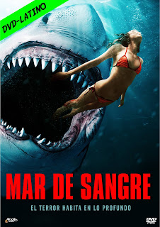 MAR DE SANGRE – SHARK BAIT – DVD-5 – DUAL LATINO 5.1 FINAL – 2022 – (VIP)